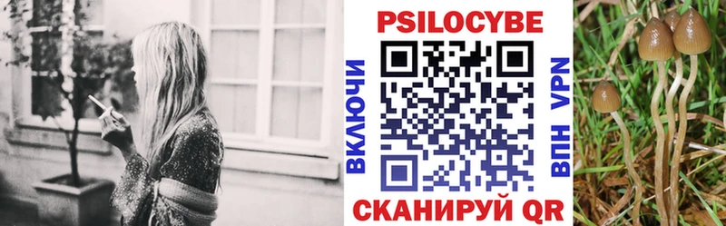 Псилоцибиновые грибы Psilocybine cubensis  Светлый 